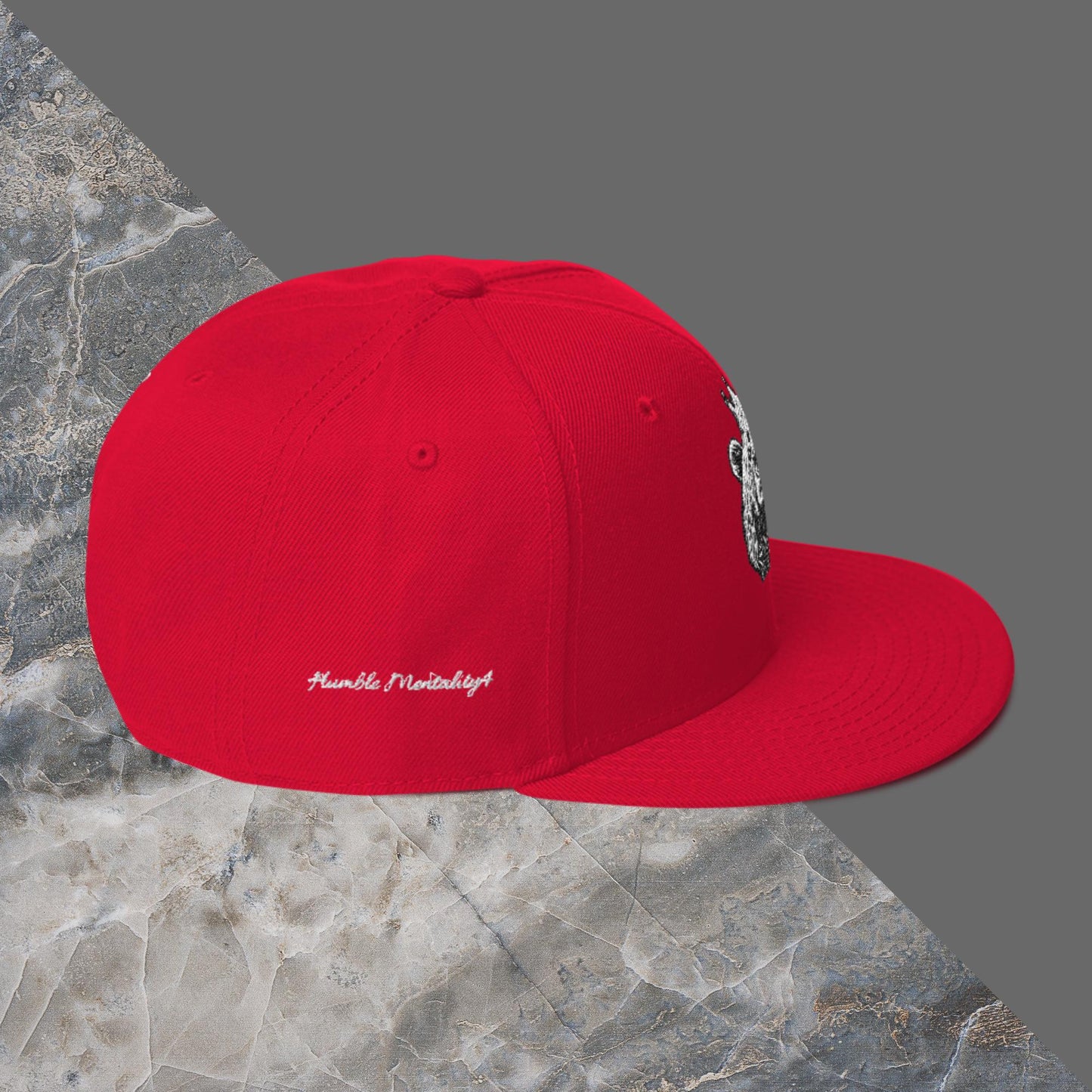 NA- CHICAGO Snapback Hat